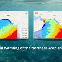 Rapid Warming of the Northern Arabian Sea