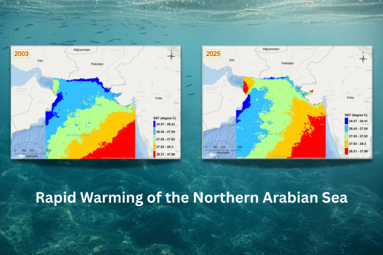 Rapid Warming of the Northern Arabian Sea