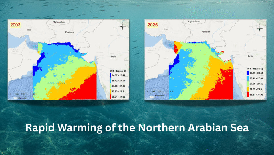Rapid Warming of the Northern Arabian Sea