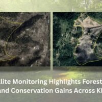 Yellow Black and White Illustrated Catering Service Presentation.jpg