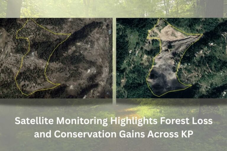 Satellite Monitoring Highlights Forest Loss and Conservation Gains Across KP