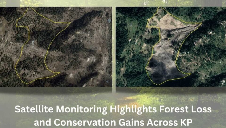 Yellow Black and White Illustrated Catering Service Presentation.jpg