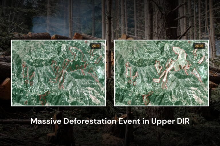 Massive Deforestation Event In Upper Dir