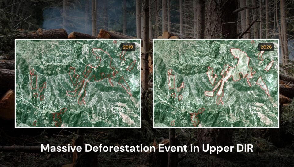 Massive Deforestation Event in Upper DIR.jpg