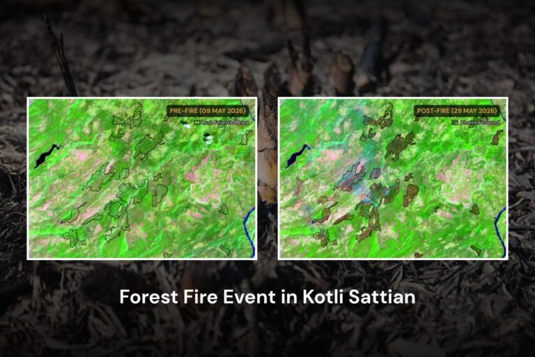Massive Forest Fire Event in Kotli Sattian, Punjab