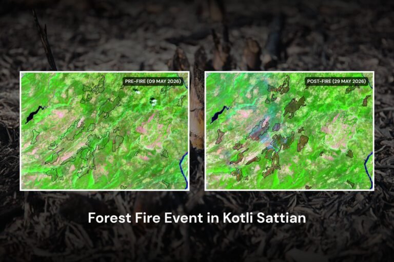 Massive Forest Fire Event in Kotli Sattian, Punjab